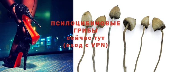 твердый Баксан