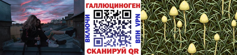 наркота  Кушва  даркнет официальный сайт  Псилоцибиновые грибы Magic Shrooms  OMG ССЫЛКА 